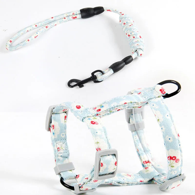 44246280536301|44246280569069