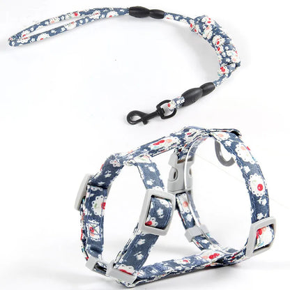 44246280208621|44246280241389