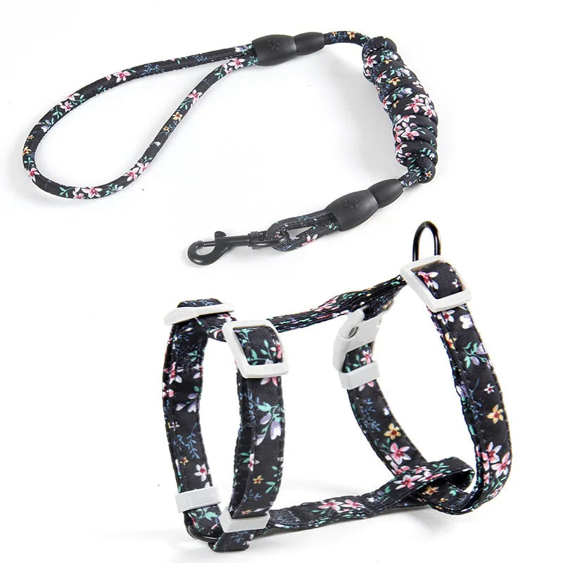 44246280274157|44246280306925